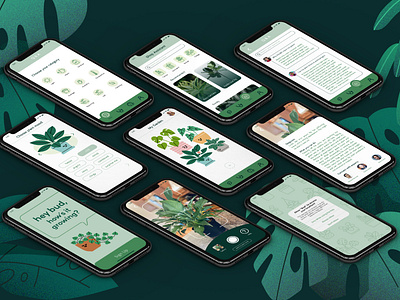 Bud Plant App, Page Layouts