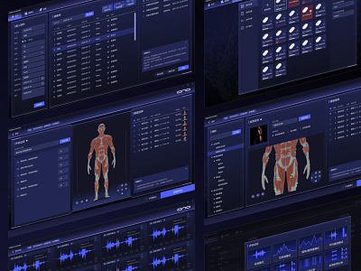 EMG Analysis System analysis emg pc system ui