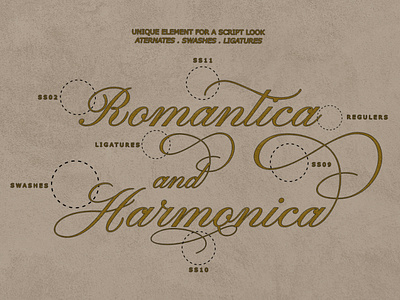 Empario Armani Font branding font handlettering handwritten illustration invitation script template typography vintage