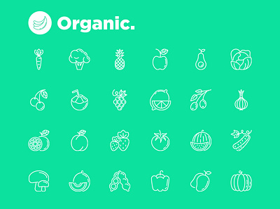 Organic | 25 Thin Line Icons Set icon illustration line set sign symbol thin
