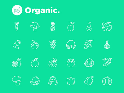 Organic | 25 Thin Line Icons Set