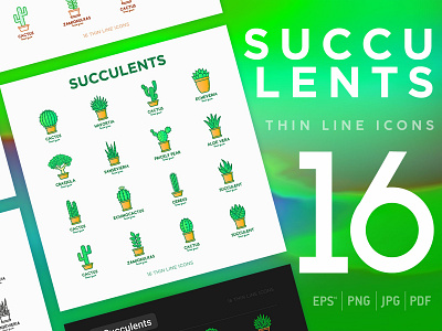 Succulents | 16 Thin Line Icons