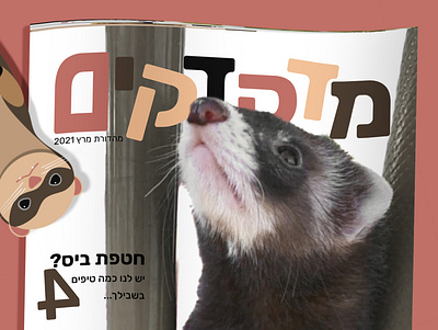 Ferret magazine מגזין חמוסים adobe illustrator adobe indesign dook ferret fun magazine magazine design typography visual design