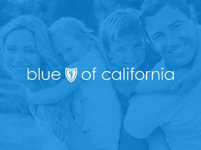 Blue Shield of California blue california design healthcare journey product product design remote ux