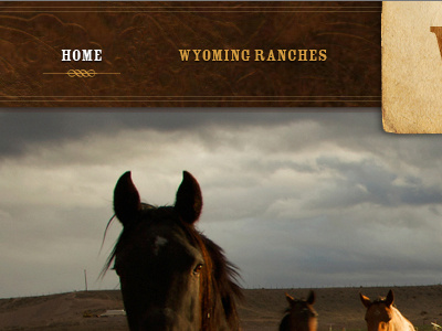 WDRA Navigation brown country cowboy cows dude ranch field horses leather mountains orange ranch red stamp texture website western wyoming
