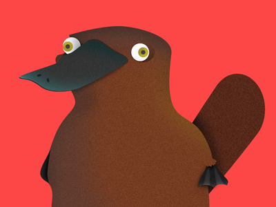 Platy animal illustration platypus