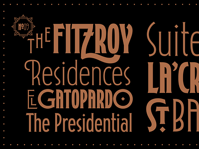 Fitzroy Display branding font display font fitzroy font font shop logo font typeverything vintage font