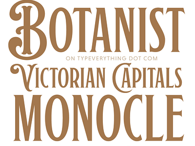 Botanist Typeface fonts logo font movies font new fonts typedesign typeface typeverything