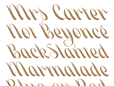 Mrs. Carter branding font display font font shop fonts type designer typeface typeverything