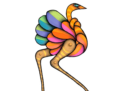Avestruz animals color editorial handmade illustration markers prismacolor