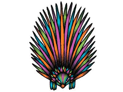 Erizo animals color editorial handmade illustration markers prismacolor