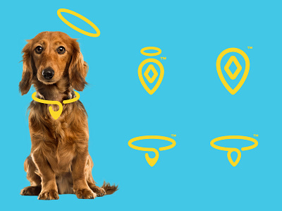Pet Tracking Log Proposals ad angels animals branding domestic flat icon illustrator logo logos minimal pets proposal tracking vector