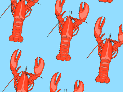 Lobster illustration