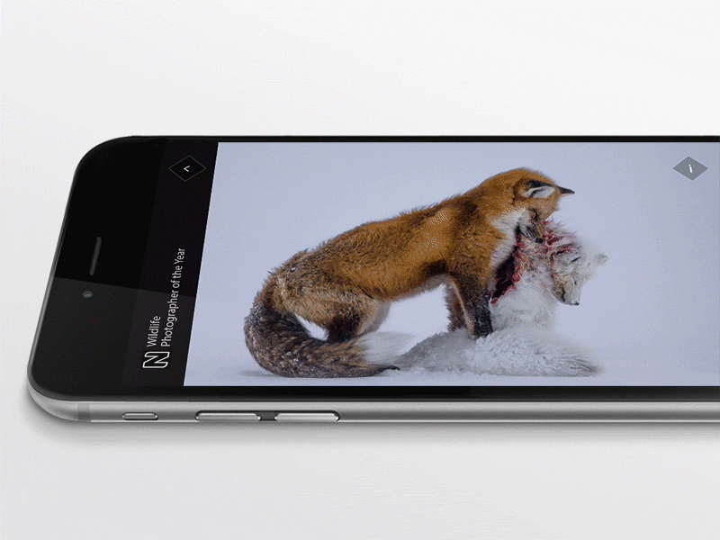 Wildlife Photographer of the Year national history museum photography principle user experience uiux ui gallery