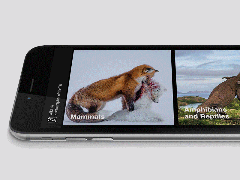 Wildlife Photographer of the Year - Photo Swipe Animation interaction motion nature photography principleformac swipe principle wildlife
