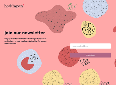 Newsletter Landing Page application branding homepage illustration typography ux