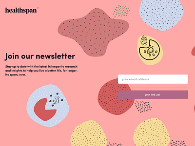 Newsletter Landing Page