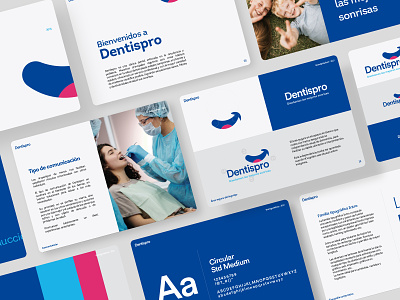 Dentispro Brand guideline blue brand identity branding colorpalette dentist design hospital logo medical smile typography