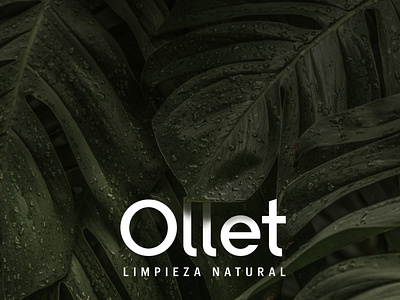 Ollet - Natural Products