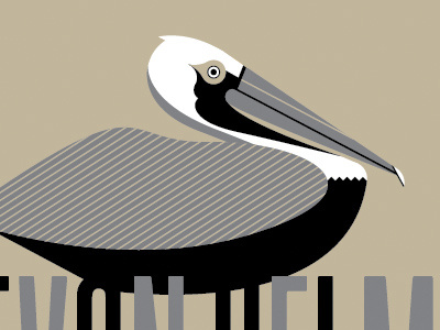 Pelican gigposter illustration micah smith my associate cornelius pelican poster