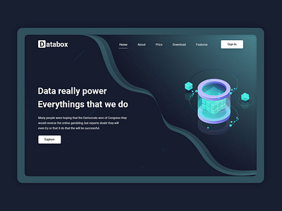 Databox Hero area data data website databox design landing page web ui websites