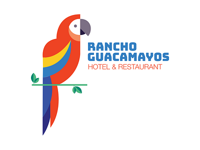 Rancho Guacamayos macaw