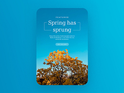Spring has sprung blue flowers newsletter spring yellow