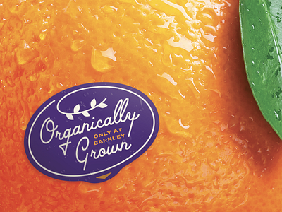 Big Fruit - 🍊 fruit fruit sticker juicy label orange organic poster sticker