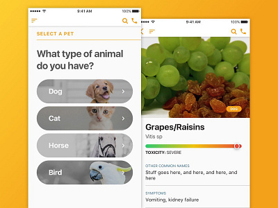 Pet Owner App