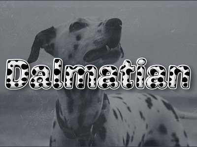 Dalmatian Text Effect 3d black bold cartoon character effect font font effect font style headline letter psd style text text effect text style typeface typo typography white