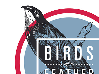 Avian No.2 avian bird branding gala identity oklahoma