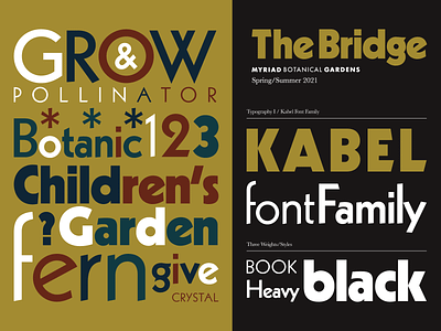 The Bridge: Type Family 1