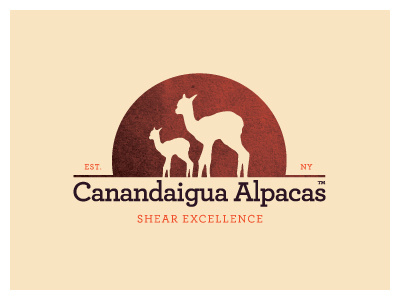 Canandaigua Alpacas Logo alpaca animals branding canandaigua identity logo new york ny