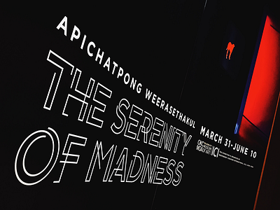 Serenity of Madness Final Type