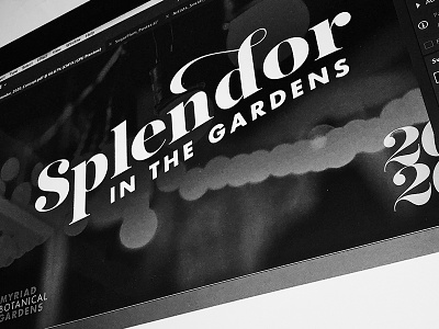 Splendor 2020 Concept branding event branding gardens logo okc oklahoma city type
