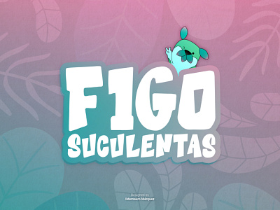 Figo Suculentas