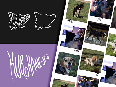 Kurohane.jpg Logo brand branding design designer dogs graphic design identity logo pets vector