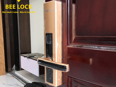 Chọn khóa điện tử phù hợp với từng loại cửa Căn hộ khóa cửa beelock khóa cửa vân tay khóa cửa điện tử