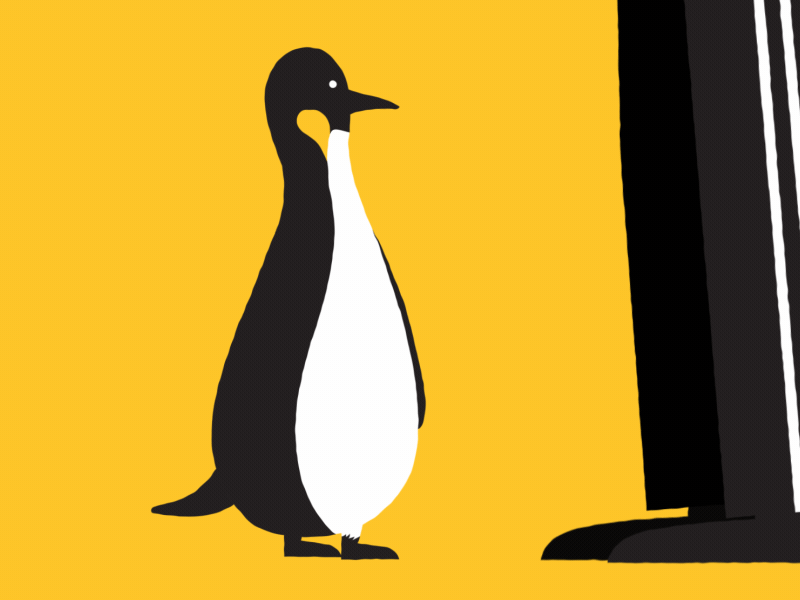 Sir Nils Olav 2d animal animation cute funny gif penguin