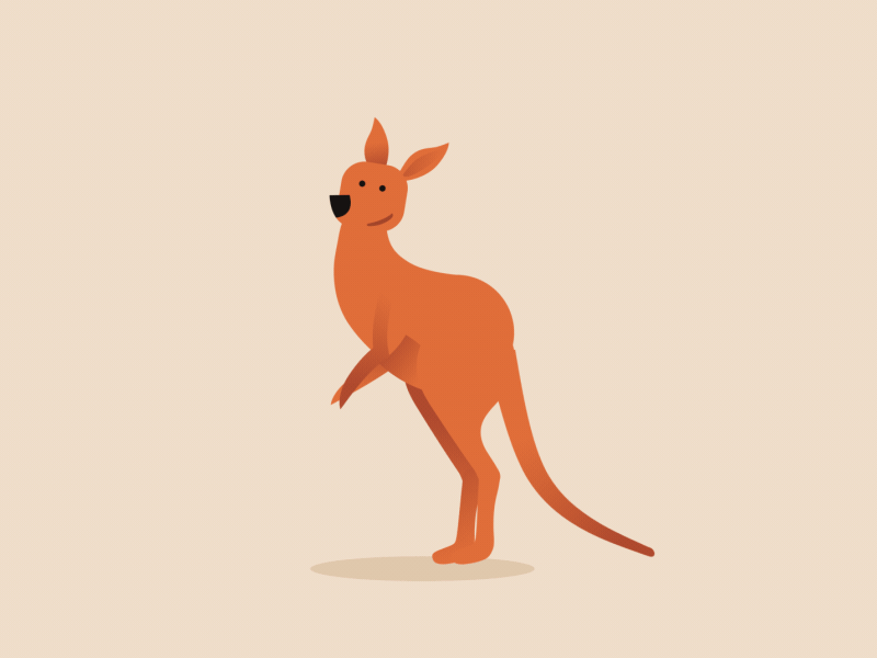 Professor Kangaroo 2d animal animation character gif kangaroo motion