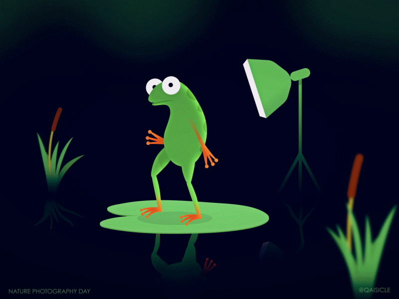 Nature Photography Day 2d animal animation frog gif illustration loop photoshoot