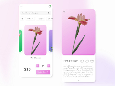 Minimal App Design by Ayush Soni on Dribbble