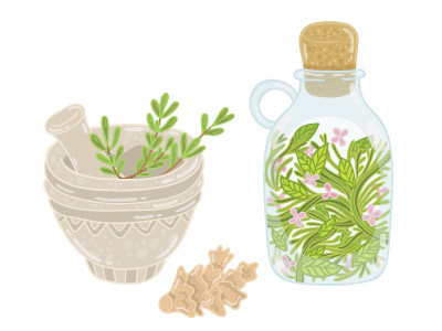 Medicinal Herbs art cartoon cute design drawing flower herbs illustration leaf leaves vector