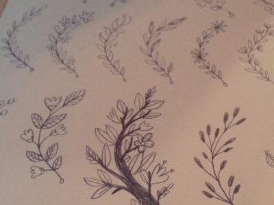 Sketching branch design doodle flower illustration nature sketch tree wedding