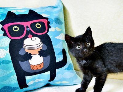 Blact cat. Pillow animals cartoon cat coffee decor home decor kids kitten pillow society6