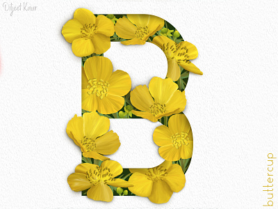 The letter series: B alphabet design design art digital painting illustration letter lettering typography