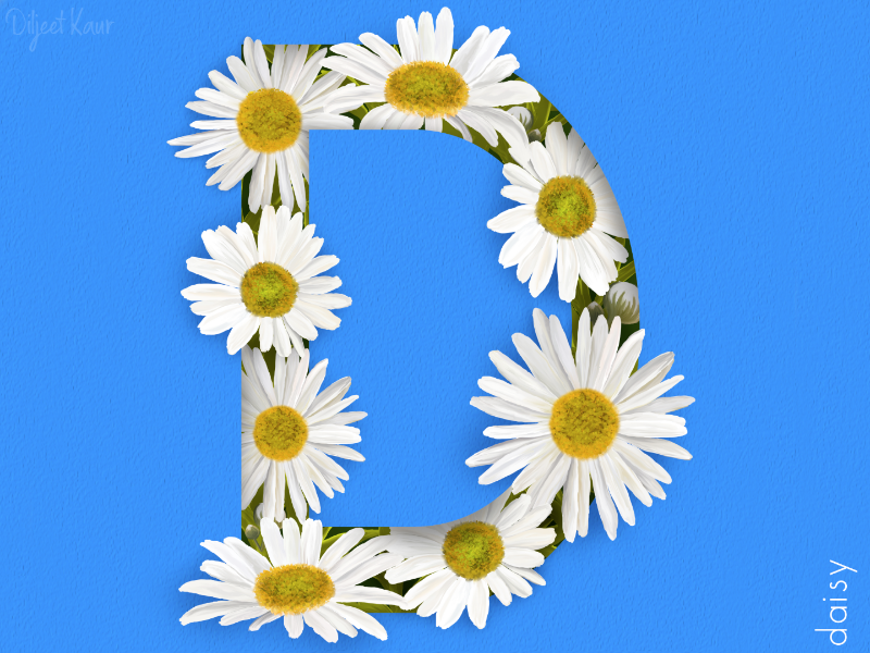 The letter series: D art digital painting typography alphabet lettering letter design
