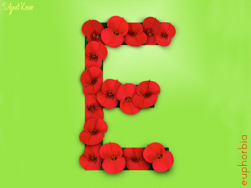 The Letter Series: E alphabet typography lettering letter digital painting art design