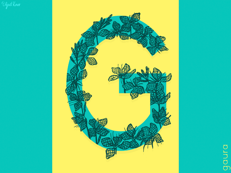 The Letter Series: G drawing illustration alphabet lettering letter typography doodle art design