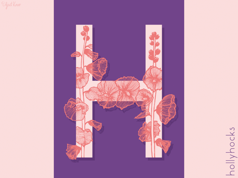 The Letter Series: H drawing illustration alphabet lettering letter typography doodle art design